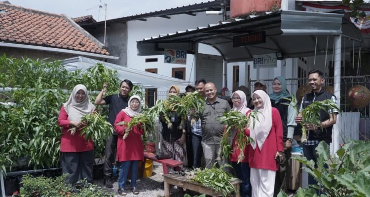 Kegiatan BRI Bertani di Kota (BRInita) di Buruan SAE Bertoga, Padepokan Hegar, Bandung.